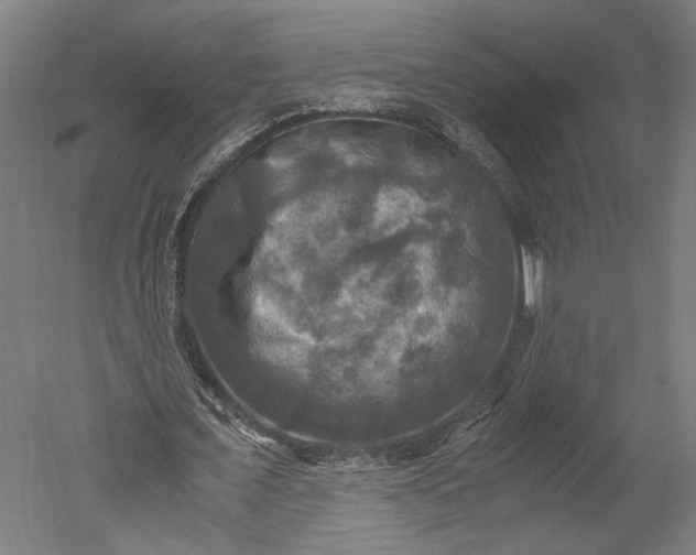 X0000051240675200507011627