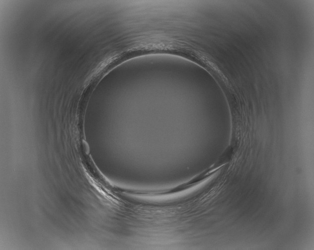 X0000051240677200507011627