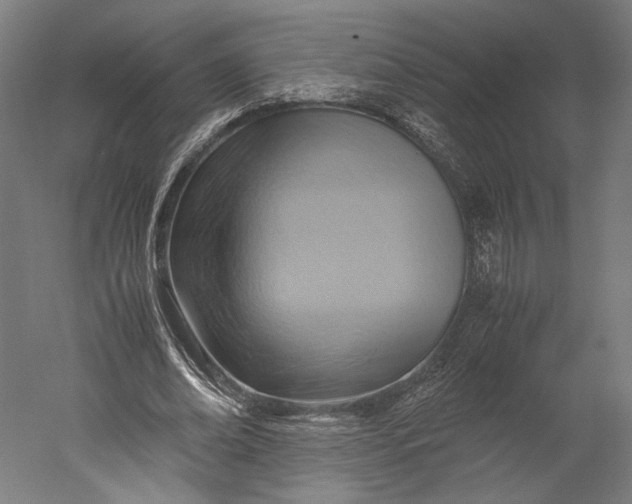 X0000051240678200507011627