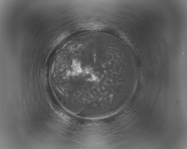 X0000051240679200507011627