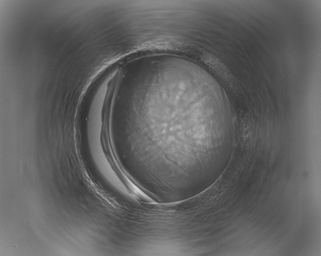 X0000051240680200507011627