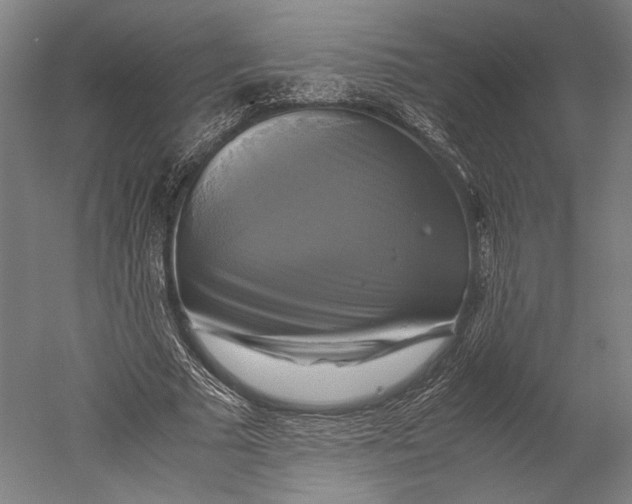 X0000051240681200507011627