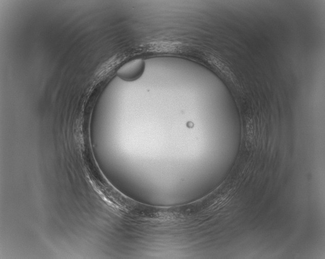 X0000051240682200507011627