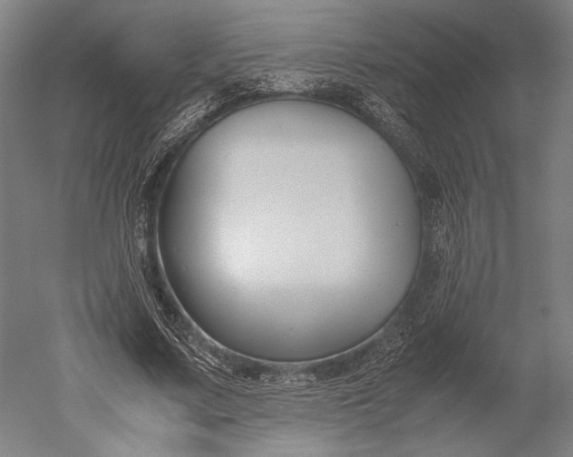 X0000051240683200507011626