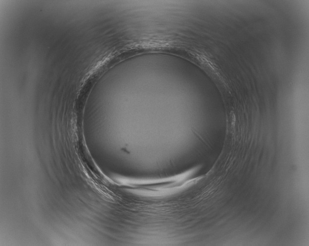 X0000051240684200507011626