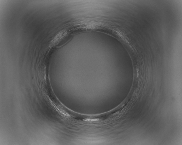 X0000051240685200507011626