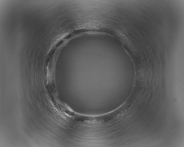 X0000051240688200507011626