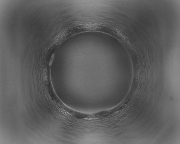 X0000051240689200507011626