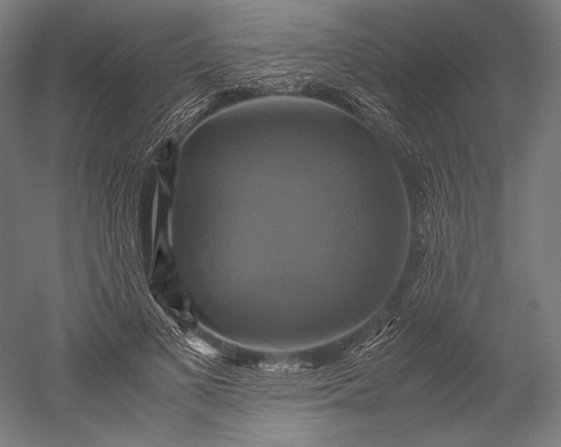 X0000051240693200507011626