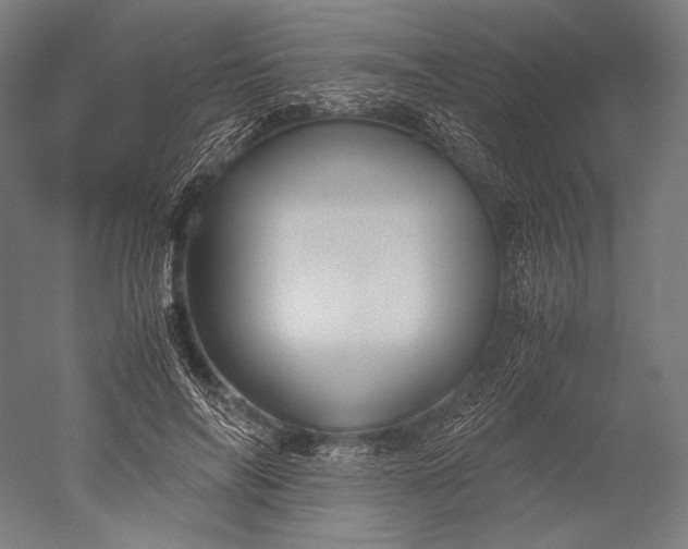 X0000051240694200507011626