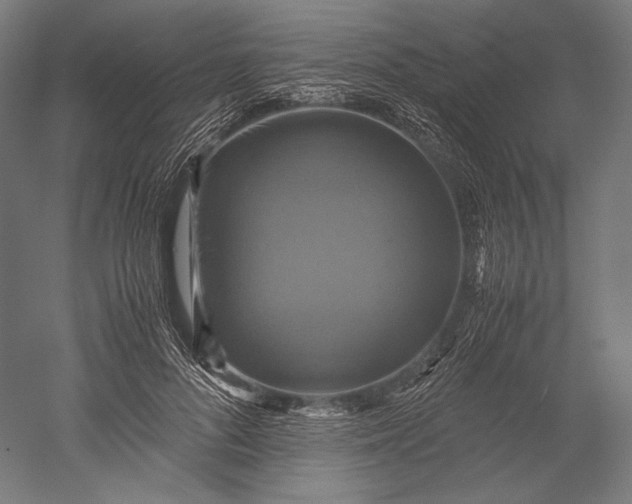 X0000051240696200507011626