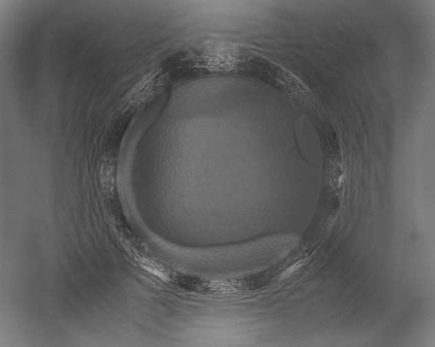 X0000051240697200507011626