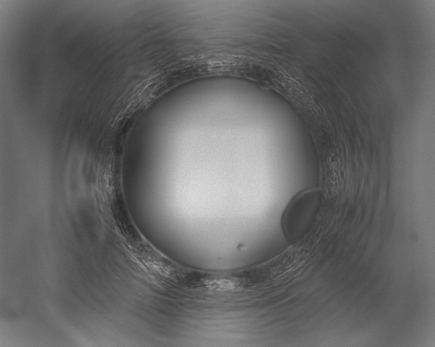 X0000051240698200507011626