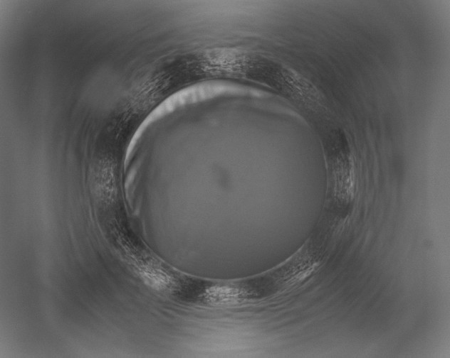 X0000051240699200507011626