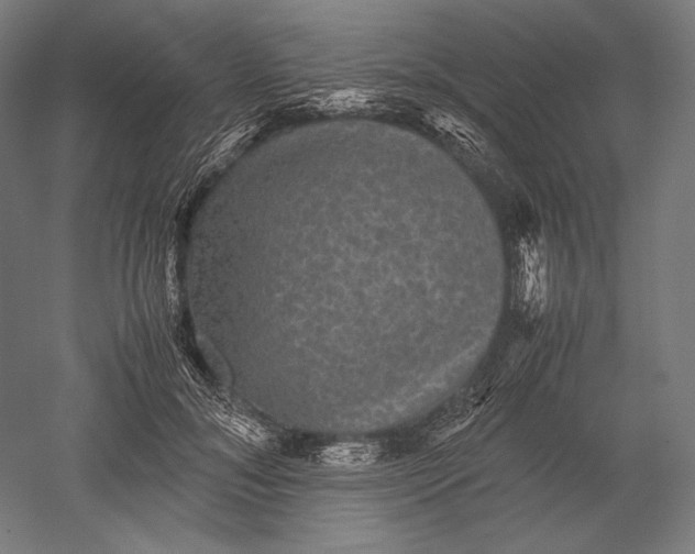 X0000051240700200507011626