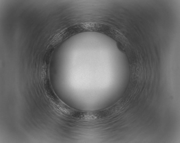 X0000051240702200507011626