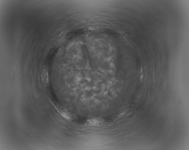 X0000051240703200507011626