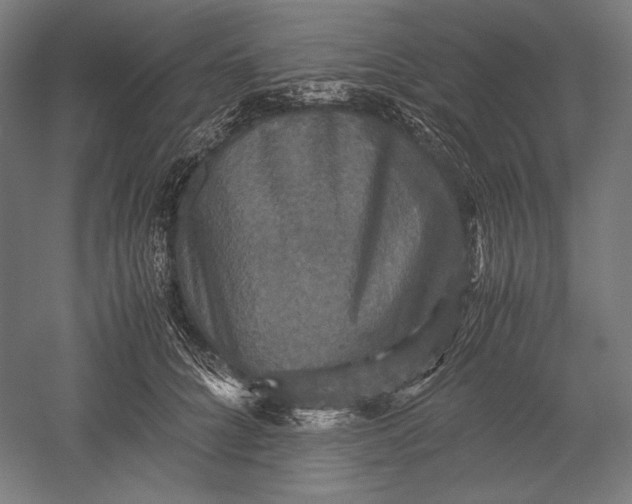 X0000051240704200507011626