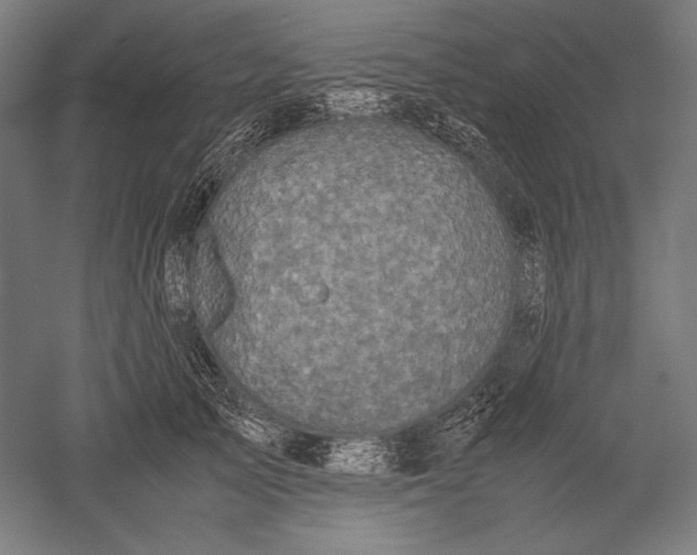 X0000051240705200507011626