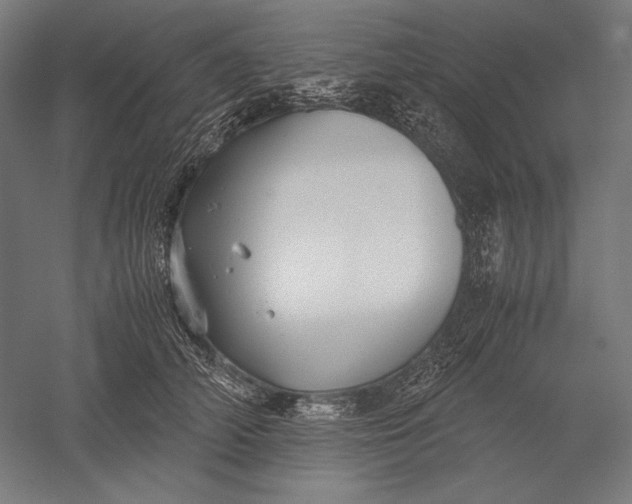 X0000051240706200507011626