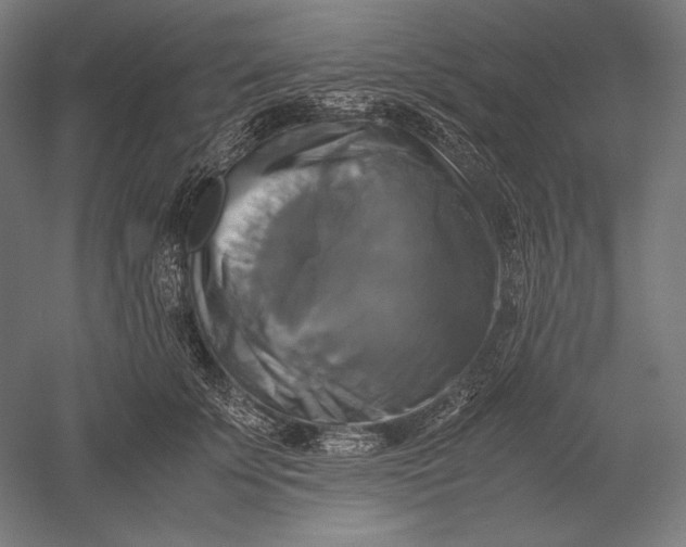 X0000051240707200507011626