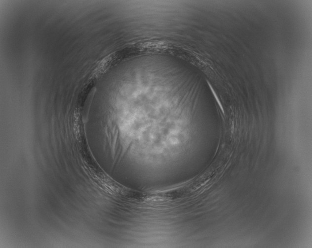 X0000051240708200507011626