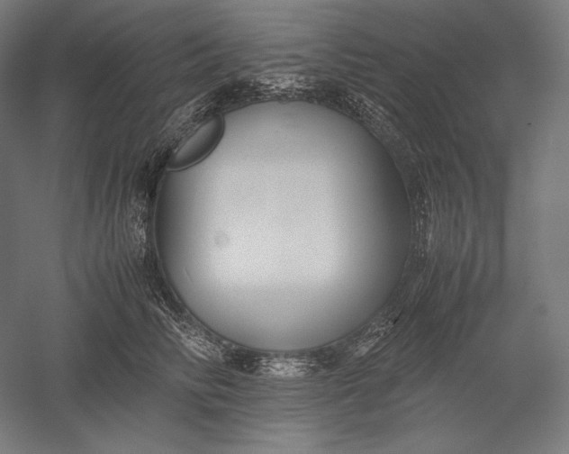 X0000051240710200507011626