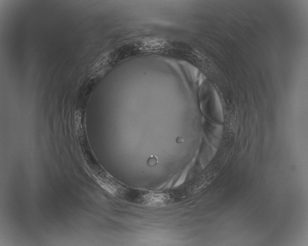 X0000051240711200507011626