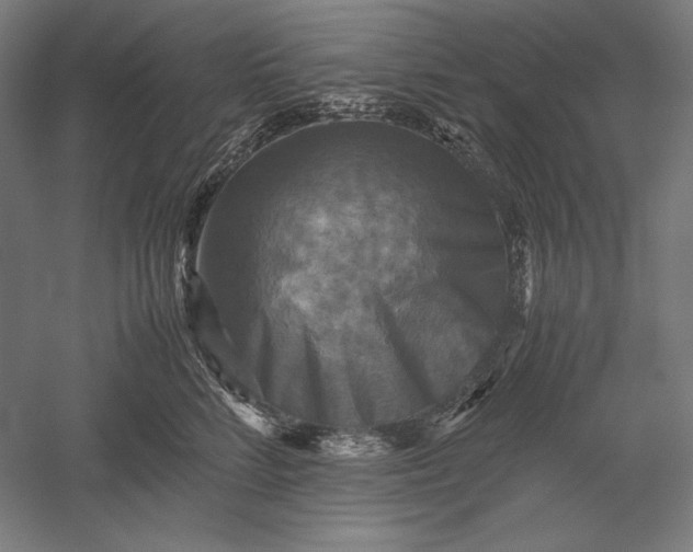 X0000051240712200507011626