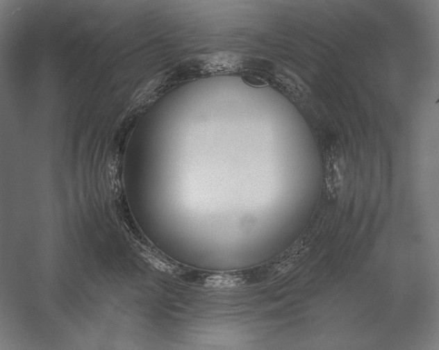 X0000051240714200507011626