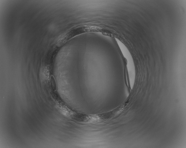 X0000051240715200507011626