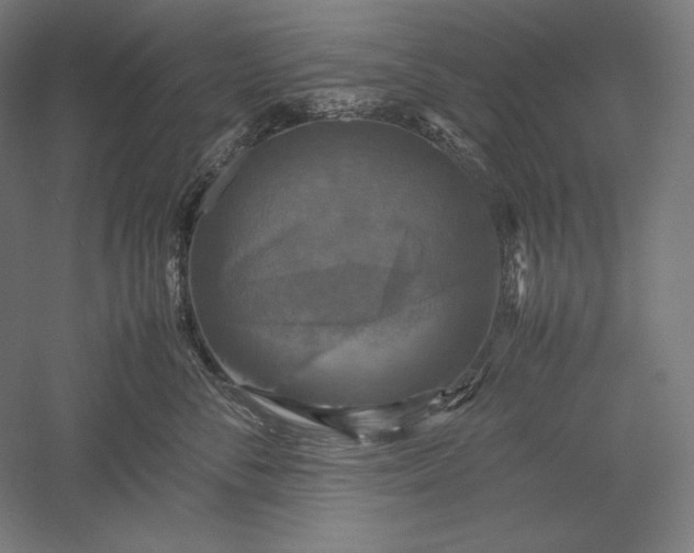 X0000051240716200507011626