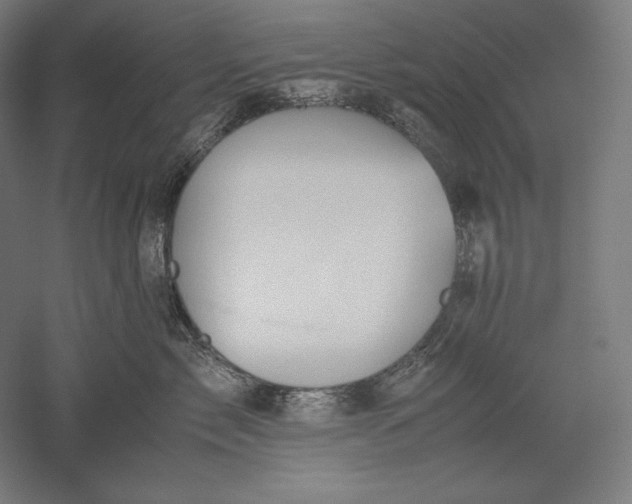 X0000051240717200507011626