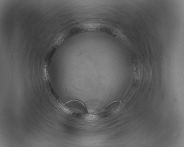 X0000051240718200507011626