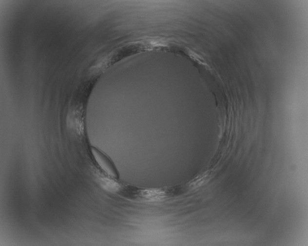 X0000051240719200507011626