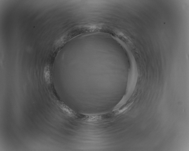 X0000051240720200507011626