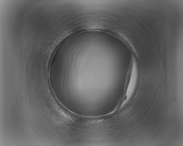 X0000051240721200507011625