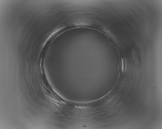 X0000051240723200507011625