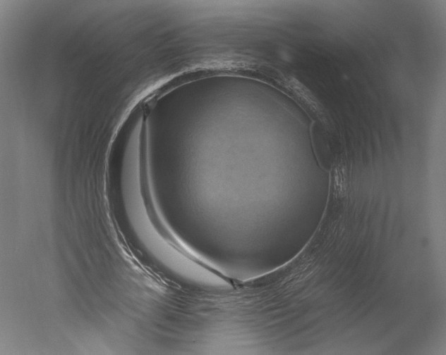 X0000051240724200507011625