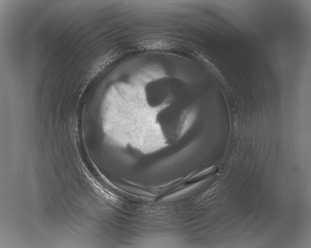 X0000051240725200507011625