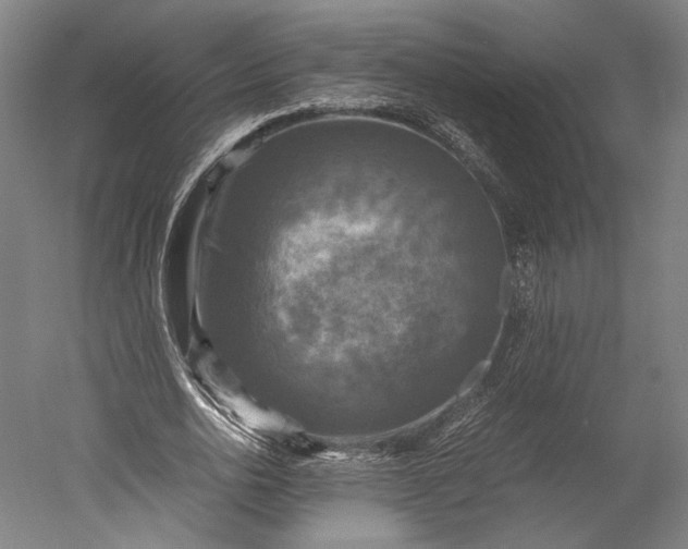 X0000051240726200507011625