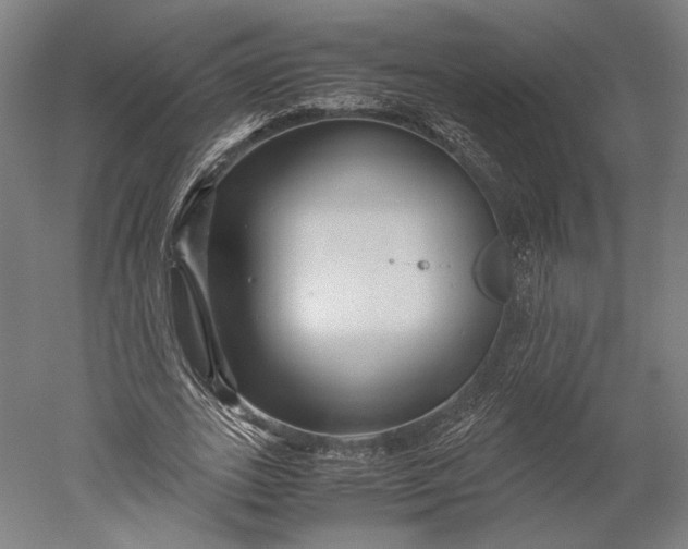 X0000051240727200507011625