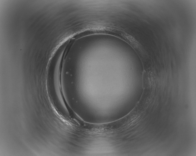 X0000051240728200507011625