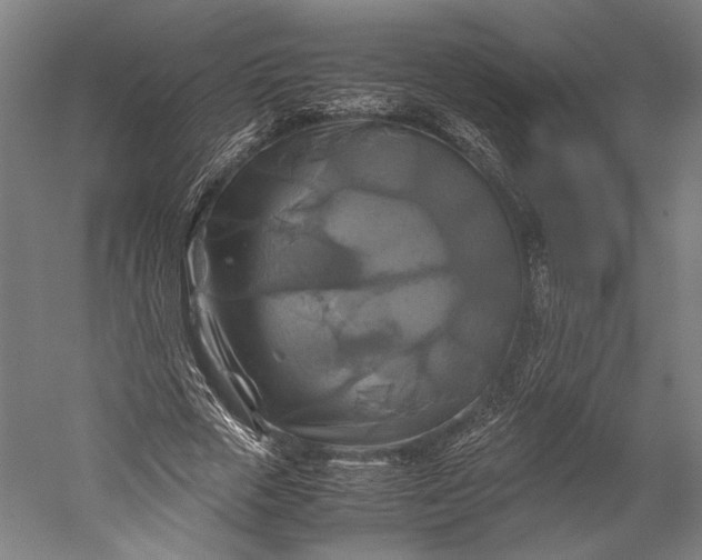 X0000051240729200507011625