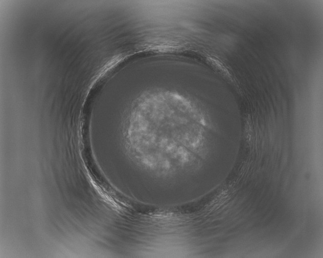 X0000051240730200507011625