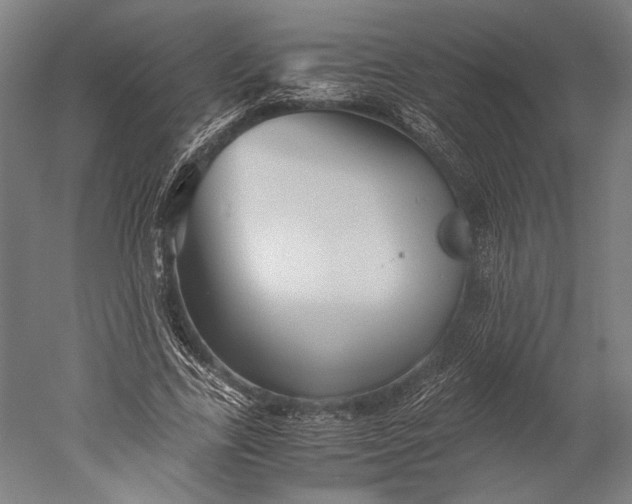 X0000051240731200507011625