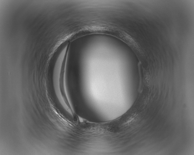 X0000051240732200507011625