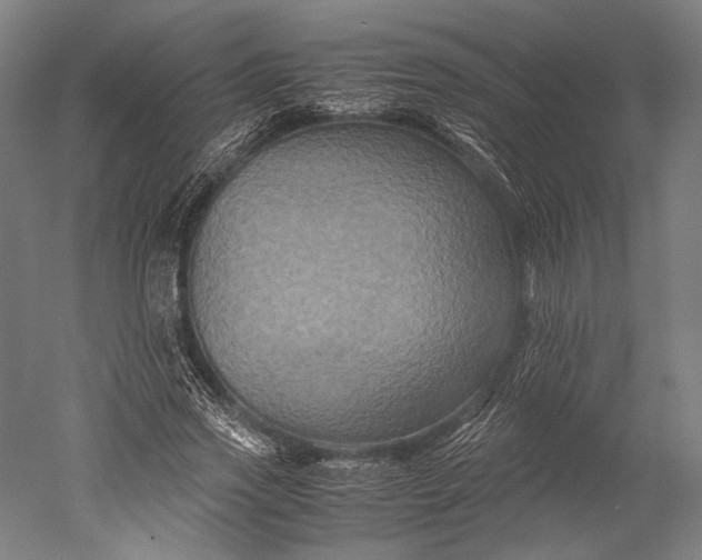 X0000051240733200507011625