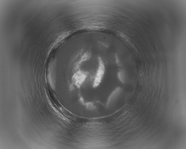 X0000051240734200507011625