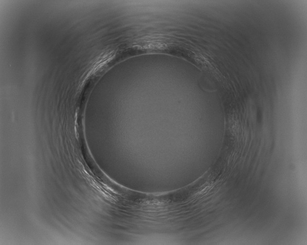 X0000051240735200507011625